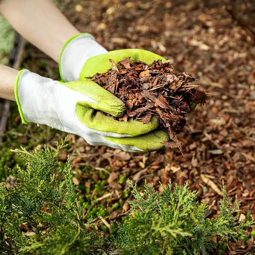 View Our Landscaping Projects